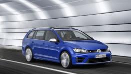 Volkswagen Golf VII R Variant (2015) - prawy bok
