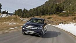 Mercedes Klasa GL X166 Off-roader GL 350 BlueTEC 258KM 190kW 2012-2015