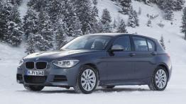 BMW Seria 1 F20-F21 Hatchback 5d 116d 116KM 85kW 2011-2015