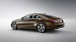 Mercedes CLS 250 BlueTEC C218 Facelifting (2015) - lewy bok