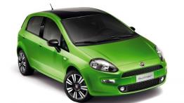 Fiat Punto Punto 2012 Hatchback 5d 1.2 8v 69KM 51kW 2012-2015