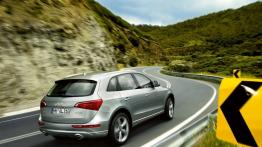 Audi Q5 - widok z tyłu