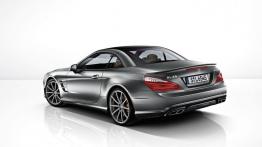 Mercedes SL R231 Roadster AMG 65 AMG 630KM 463kW 2012-2015