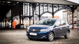 Dacia Sandero Anniversary Limited Edition (2015) - widok z przodu