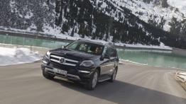 Mercedes Klasa GL X166 Off-roader GL 350 BlueTEC 258KM 190kW 2012-2015