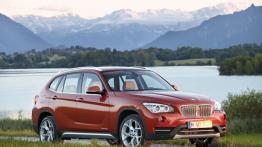 BMW X1 E84 Crossover Facelifting sDrive 20d EfficientDynamics Edition 163KM 120kW 2012-2015