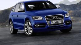Audi Q5 I SQ5
