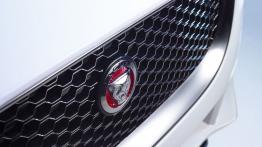Jaguar XE 2.0T Prestige (2015) - logo