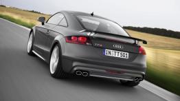 Audi TT 8N Coupe 1.8 T Quattro 180KM 132kW 1998-2005