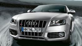 Audi S5 - widok z przodu