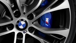 BMW X6 II M Performance (2015) - zacisk hamulcowy