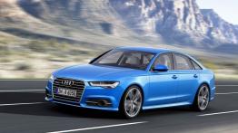 Audi A6 C7 Limousine Facelifting (2015) - lewy bok