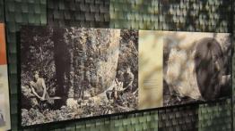 Wellington (fotostory) - Audi Q5