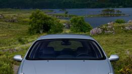 Citroen C5 - przód - reflektory włączone