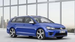 Volkswagen Golf VII R Variant (2015) - prawy bok