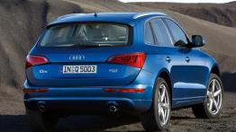 Audi Q5 - widok z tyłu