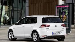 Volkswagen Golf VII Hatchback 5d TSI BlueMotion (2015) - widok z tyłu