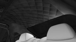 Infiniti Q70L Bespoke Edition (2015) - podsufitka z tyłu