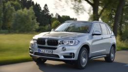 BMW X5 III xDrive40e (2015) - widok z przodu