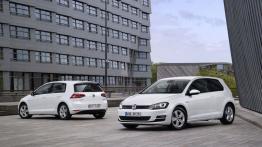 Volkswagen Golf VII Hatchback 5d TSI BlueMotion (2015) - widok z tyłu