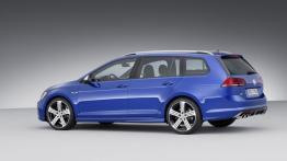 Volkswagen Golf VII R Variant (2015) - lewy bok