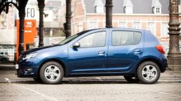 Dacia Sandero Anniversary Limited Edition (2015) - lewy bok