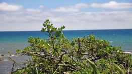 Wellington (fotostory) - Audi Q5