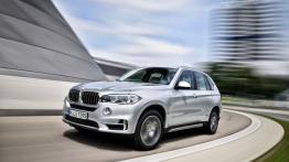 BMW X5 III xDrive40e (2015) - widok z przodu