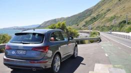 Wellington (fotostory) - Audi Q5