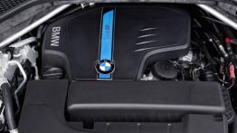 BMW X5 III xDrive40e (2015) - silnik