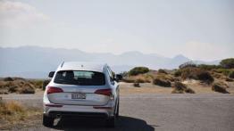 Wellington (fotostory) - Audi Q5