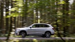 BMW X5 III xDrive40e (2015) - lewy bok