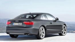 Audi S5 - widok z tyłu