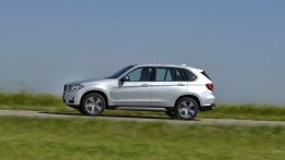BMW X5 III xDrive40e (2015) - lewy bok