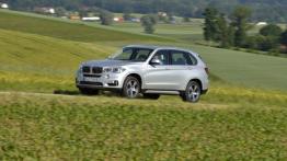 BMW X5 III xDrive40e (2015) - lewy bok