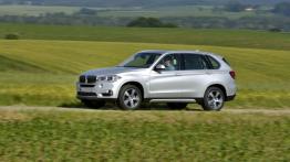 BMW X5 III xDrive40e (2015) - lewy bok