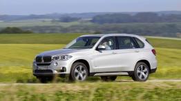 BMW X5 III xDrive40e (2015) - lewy bok