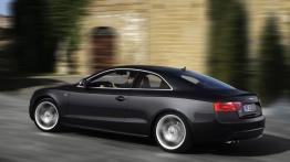 Audi S5 - widok z tyłu