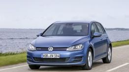 Volkswagen Golf VII Hatchback 5d TSI BlueMotion (2015) - widok z przodu