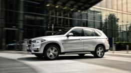 BMW X5 III xDrive40e (2015) - lewy bok