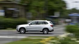 BMW X5 III xDrive40e (2015) - lewy bok