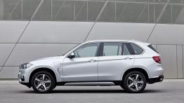 BMW X5 III xDrive40e (2015) - lewy bok
