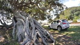 Na mecie wyprawy (fotostory) - Audi Q5