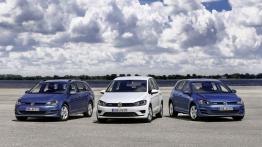 Volkswagen Golf VII Hatchback 5d TSI BlueMotion (2015) - widok z przodu