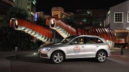 Wellington (fotostory) - Audi Q5