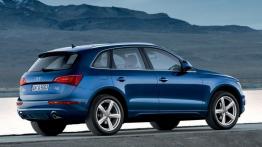 Audi Q5 - widok z tyłu