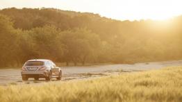 Mercedes CLS 63 AMG S-Modell Shooting Brake Facelifting - widok z tyłu