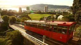 Wellington (fotostory) - Audi Q5