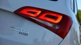 Wellington (fotostory) - Audi Q5