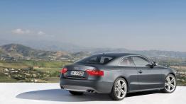Audi S5 - widok z tyłu